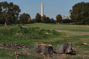 Judge extends court-ordered block on Trump’s renovation plans for public golf course in Washington