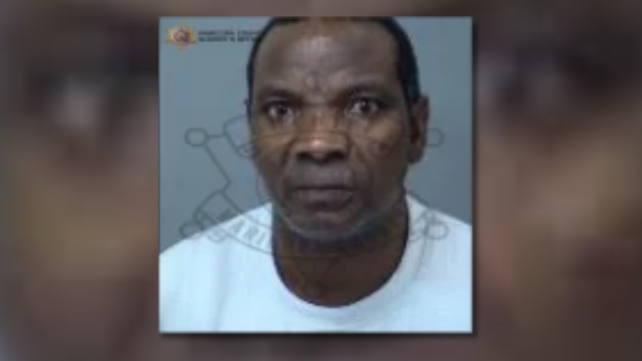 Nivyabandi Augustin charged in fatal hit-and-run. (Photo via MCSO)...