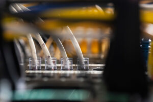 What to know about the AI-detected security hole impacting wide swaths of the internet