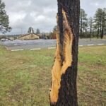 Tornado warning sends Arizona church members rushing to safety