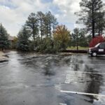 parking lot see the fallen tree at overgaard baptist tree
