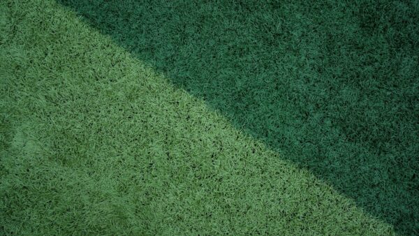 Here is what homeowners should know about choosing, installing and maintaining artificial turf in Arizona. 