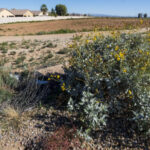 Pinal County rezones 4,695 acres of state land for potential massive employment hub