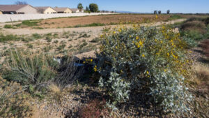 Pinal County rezones 4,695 acres of state land for potential massive employment hub