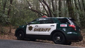 Santa Cruz sheriff defends decision about border wall construction protesters