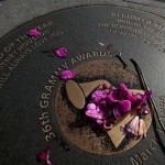 Flowers placed on a Grammy sidewalk plaque 
honoring Whitney Houston's wins for Record of 
the Year and Album of the Year in 36th Grammy 
Awards, have been scattered and replaced 
several times outside the Grammy Museum in 
Los Angeles, Feb. 12, 2012. Houston died 
Saturday, Feb. 11, 2012, on the eve of the 
54th Grammys, at the Beverly Hilton Hotel, 
where she was preparing to attend a pre-
Grammy party. She was 48. (AP Photo/Reed 
Saxon)