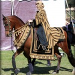 Arabian horse at Scottsdale Polo Party (Photo: Karen McKnight) 