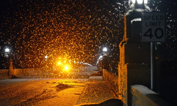 A swarm of mayflies hovers over the Route 462 bridge over the Susquehanna River late Saturday eveni...