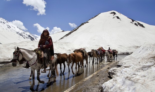 An elderly Kashmiri Bakarwal woman leads a heard of horse near Peer Ki Gali, 80 kilometers (50 mile...