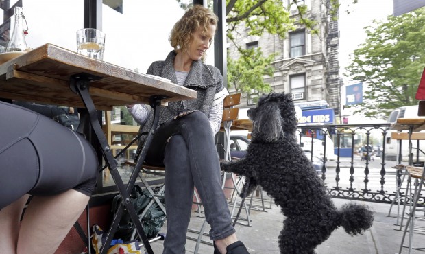 Marni Turner, and her 10-year-old Poodle “Dougie,” visit at an outdoor cafe on New York...