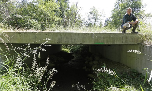 In this June 22, 2015 photo, Melissa Erkel, a fish passage biologist, stands on top of a wide passa...