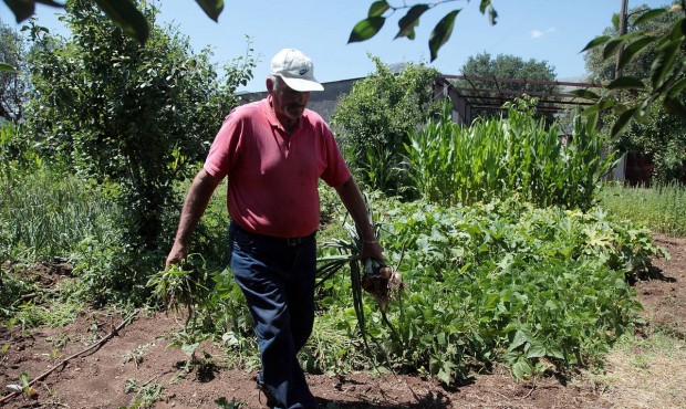 In this photo taken on Thursday, July 2, 2015 Ilias Mathes works at his garden in the village of Ka...
