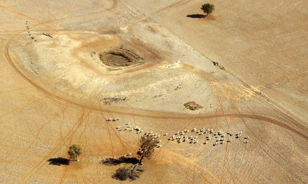 FILE – In this July 13, 2002, file photo, sheep wander parched land near a dry reservoir on a...