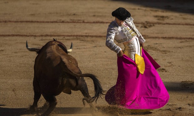 Bullfighter Miguel Abellan performs with a Fuente Ymbro fighting bull during a bullfight at the San...